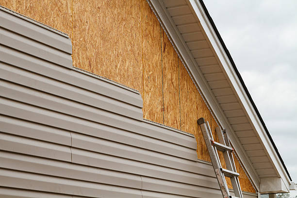 Professional Siding Repair technician working in Worthington, IN